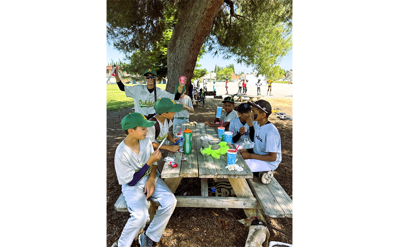 Baseball Friends