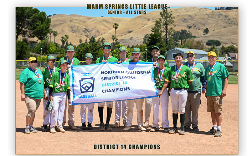 2025 Senior Division All Stars